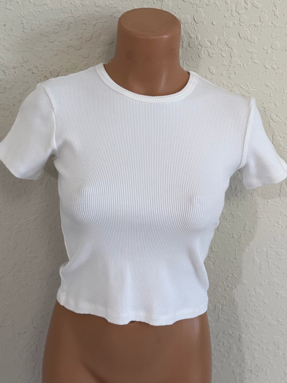 Donni Ribbed Cropped Baby Tee NWT - Picture 2 of 6